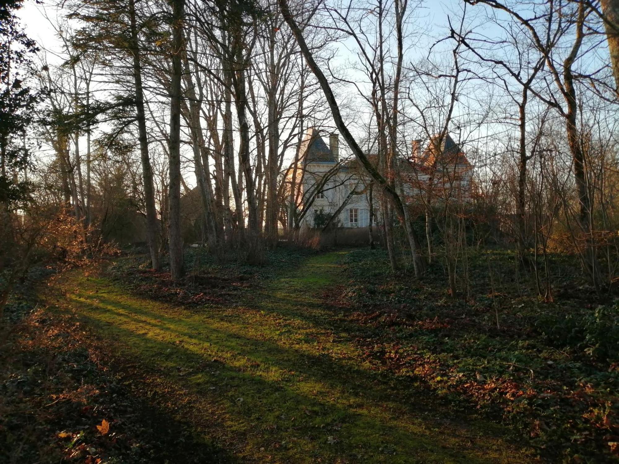 Bed and Breakfast Domaine De Prefond Bengy-sur-Craon Pokoj fotografie